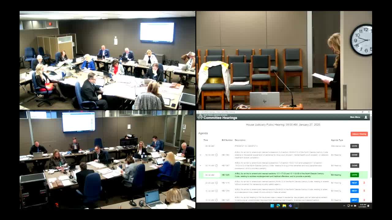 citizenportal-ai-panel-approves-tougher-reckless-endangerment