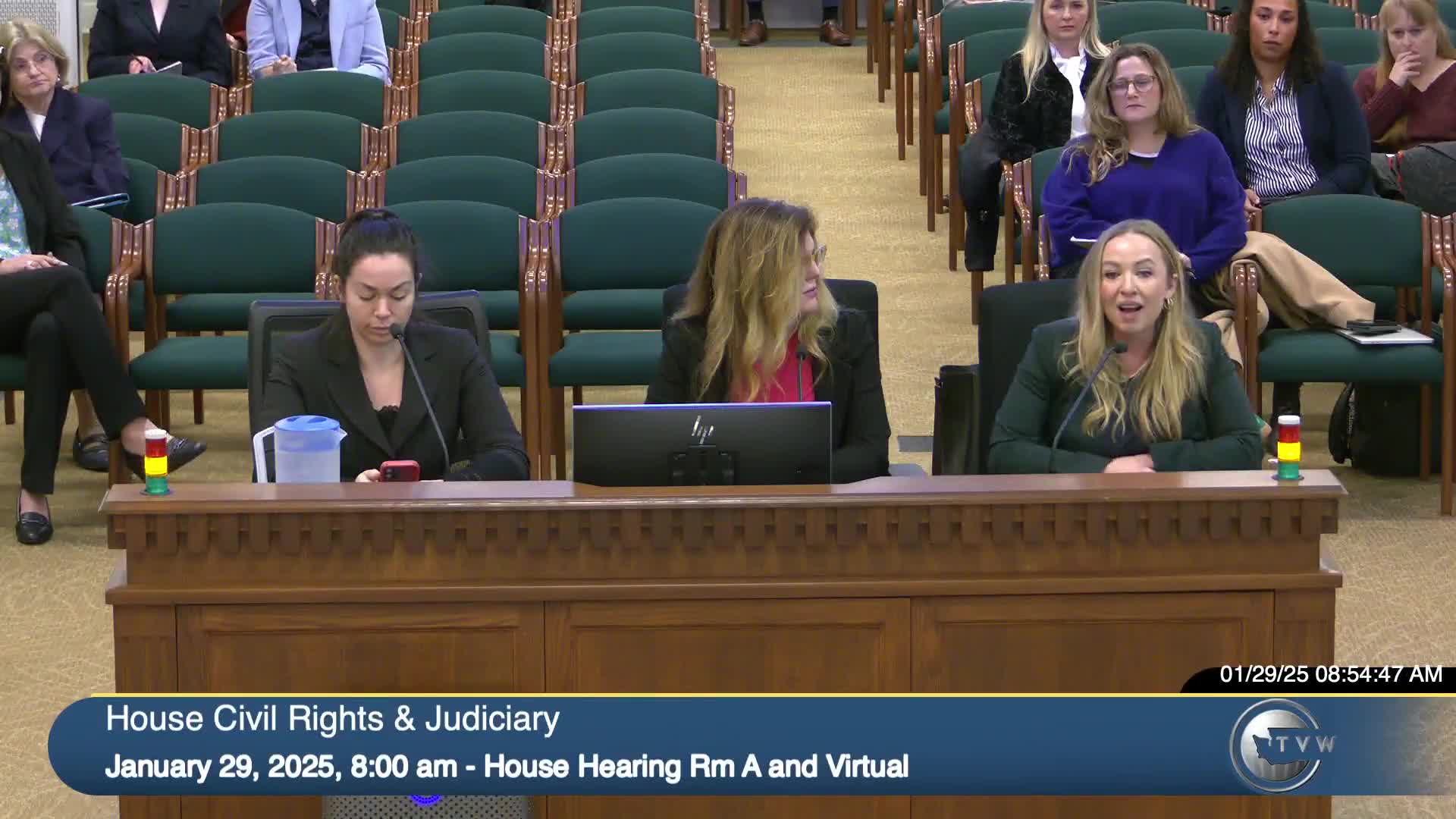 Domestic violence survivors rally against House Bill 1620 at Washington State committee hearing