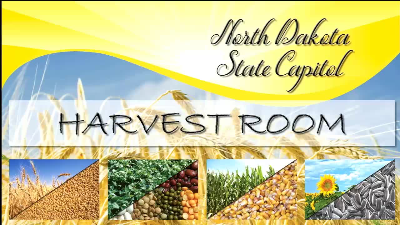 Senate committee hears testimony on SB2036 to create juvenile remediation program; $5.58 million appropriation discussed