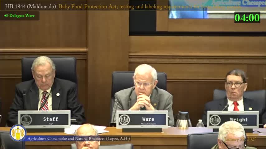 Virginia committee hears emotional testimony on Rudy's Law to combat baby food lead poisoning