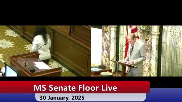 Senate recognizes Heidelberg High School football team for winning first state championship