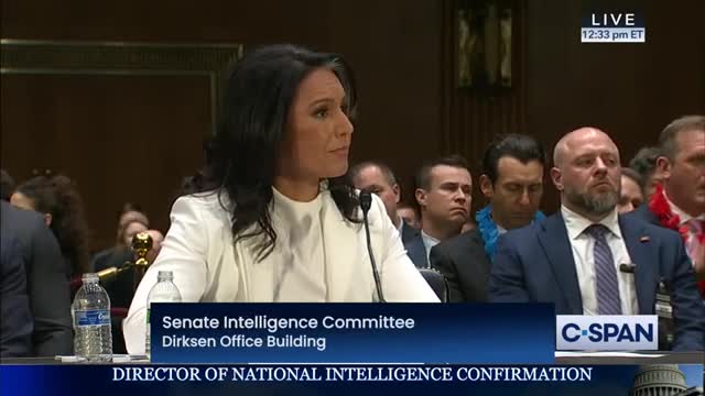 Gabbard confronts Senate panel over US support for Al Qaeda in Syria conflict