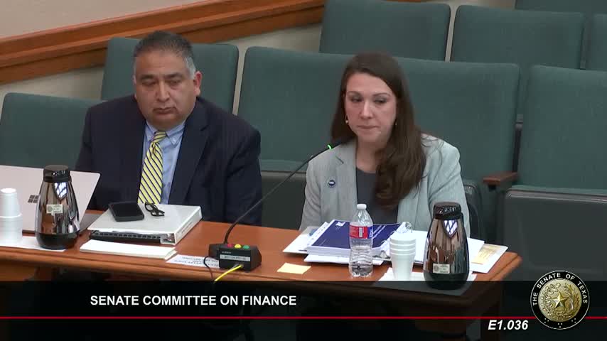 Texas leaders discuss potential creation of dedicated cybersecurity agency amid growing threats