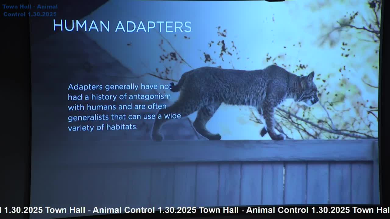 Deer adapt to suburban life raising concerns about human-wildlife interactions