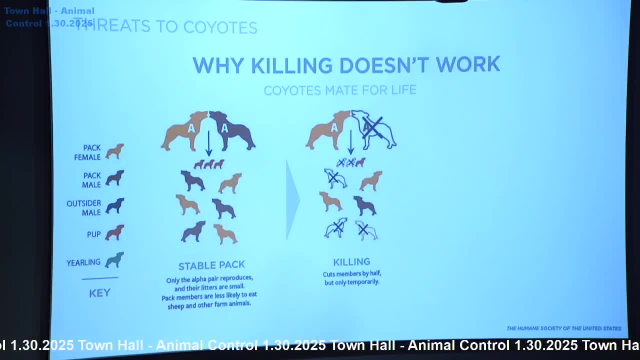 Coyote expert dispels myths and highlights dangers of off-leash dogs in urban areas