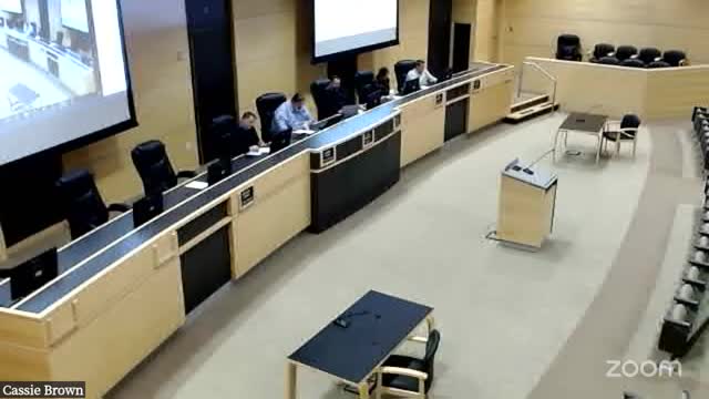 Council begins work on mission and vision priorities ahead of next year's budget; members propose fiscal-responsibility and community-program goals