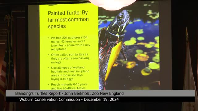 Survey reveals diverse turtle species at Horn Pond Conservation Area amid environmental challenges