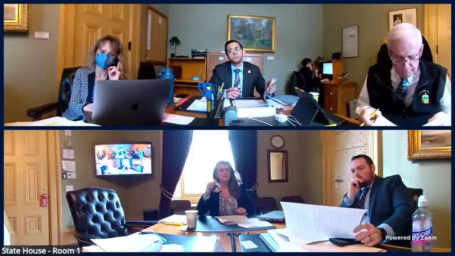 Senate Judiciary resumes S.12 markup on sealing, expungement for 18–21-year-olds and municipal violations