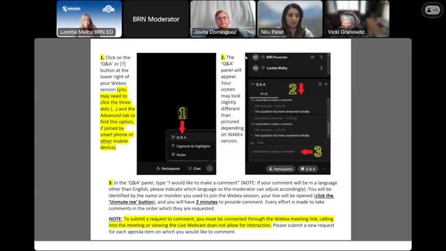 Public commenters tell BRN committee diversion program harmed them; request review of old Breeze/Nursys records