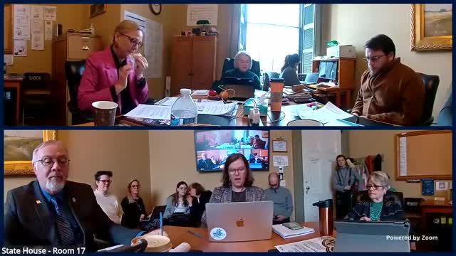 Committee reviews S.14 to expand Dr. Dynasaur eligibility for pregnant individuals, direct study of broader expansions