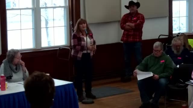 Danville voters reject $200000 budget reduction amid heated budget committee debates
