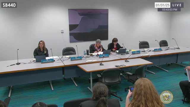 Senate panel hears safety, liability and operational questions on bill to store bronchodilators at schools