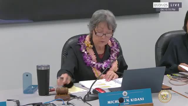 Committee advances bill to create Board of Education audit office with questions about independence and cost