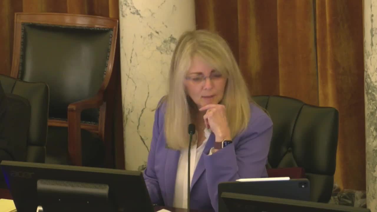 Senate committee debates $48 million health insurance funding increase for fiscal year 2026