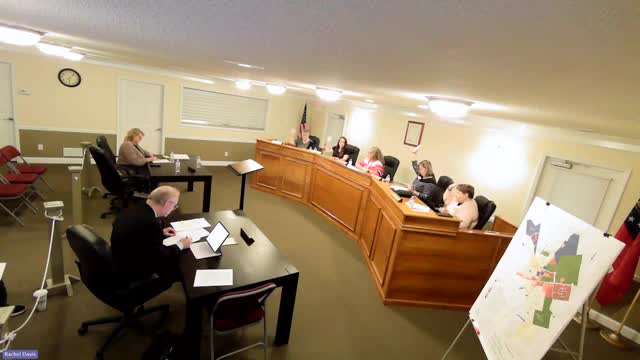 Council plans fee-schedule review, partners with Georgia Southern practicum student and notes audit acceptance