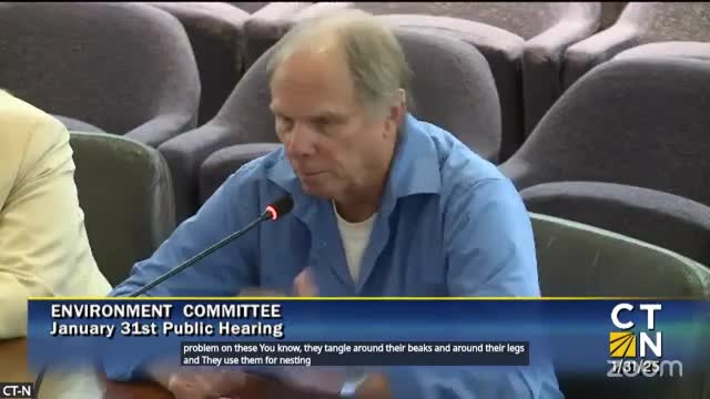 Connecticut lawmakers push to ban balloon releases amid marine life concerns