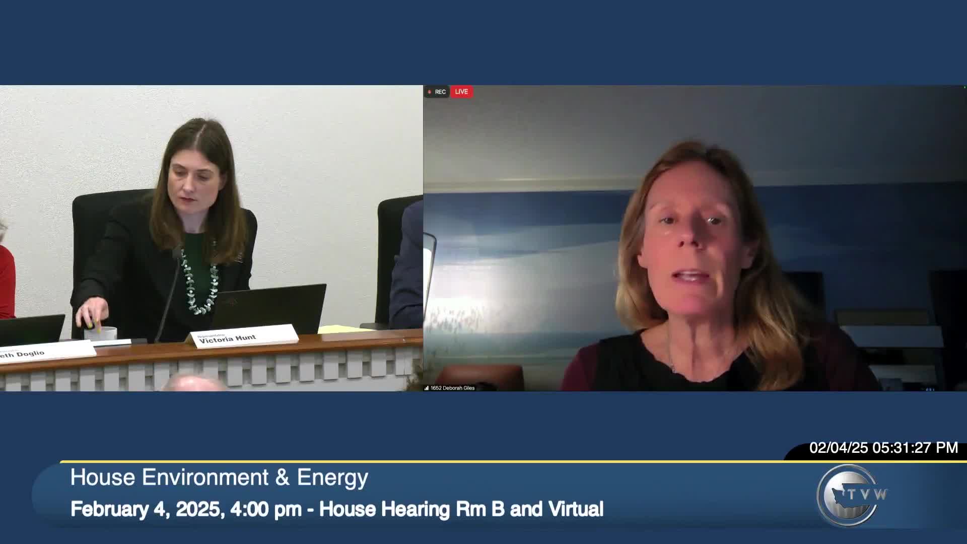 Doctor Deborah Giles advocates for HB 1652 to protect southern resident killer whales
