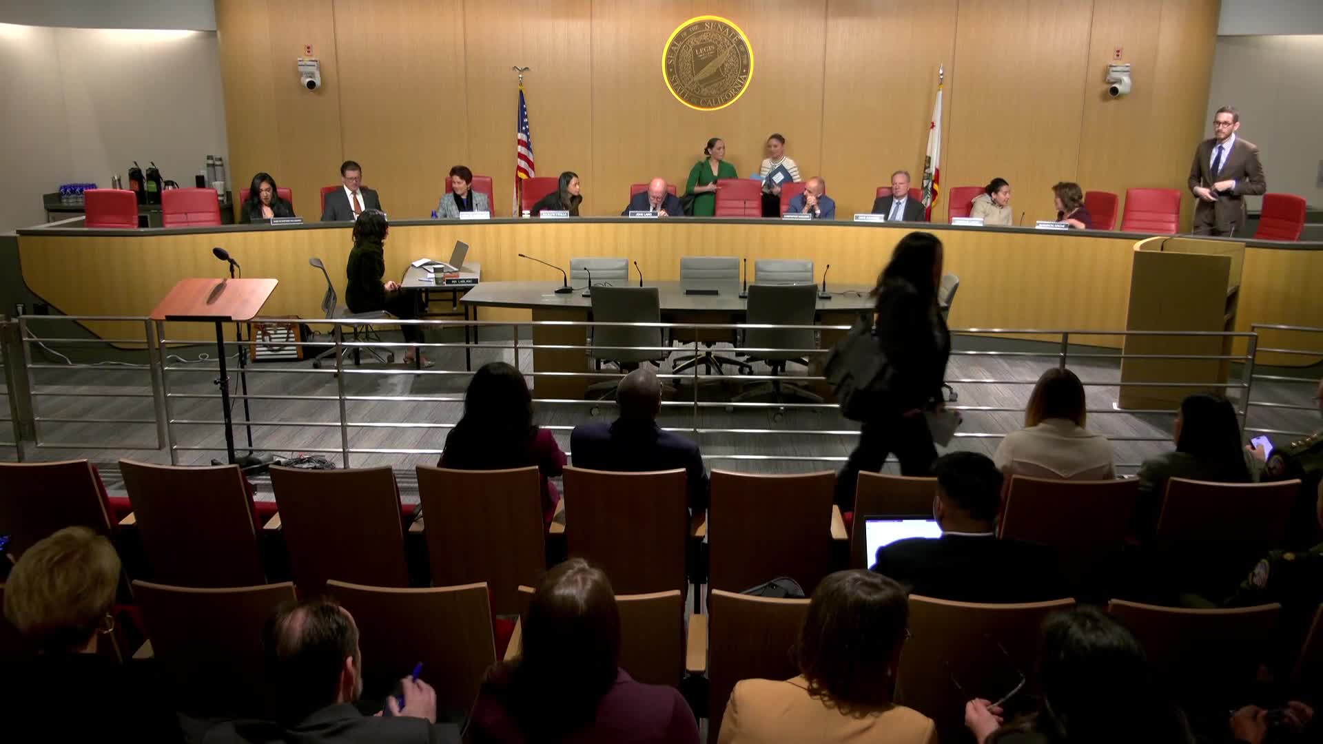Senate committee appoints Blanca Pacheco as chair and Leo Lopez as officer