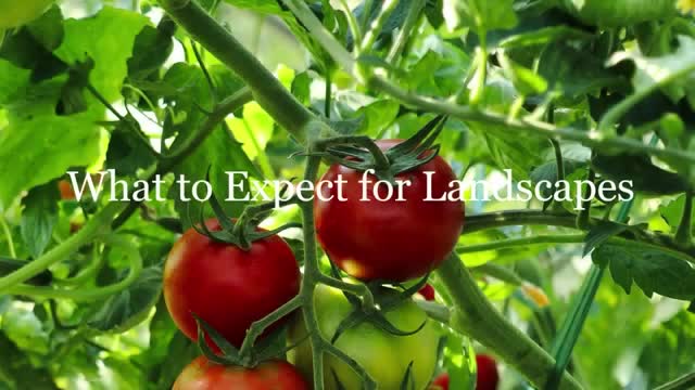 Winnebago County launches irrigation grant for sustainable landscaping practices