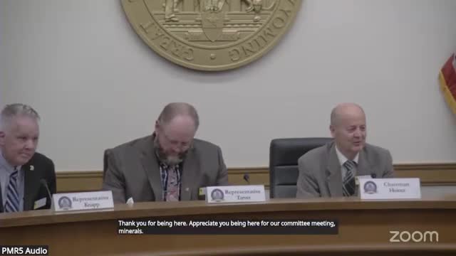 Committee allows Representative Riggins to attend remotely post-heart surgery