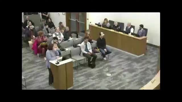 Cape Girardeau task force highlights actionable steps to combat gun violence