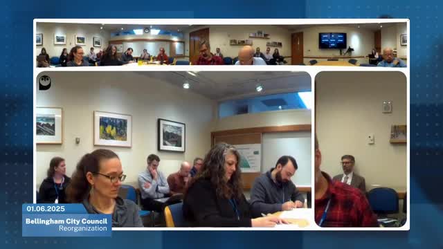 City Council appoints committee chairs for climate action and economic development