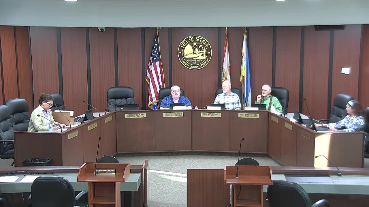 Committee approves minutes, passes budget increase and adds murals to commercial grant framework