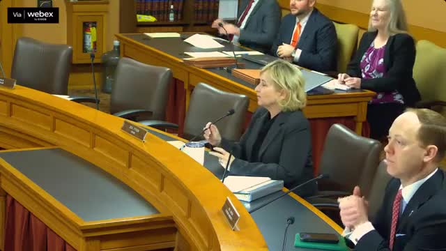 Senate tax committee hears bill to extend Rural Opportunity Zone incentives five years