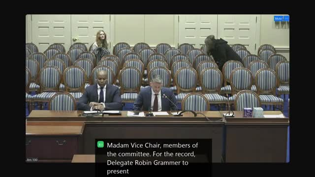 Maryland House Bill 394 mandates age verification for online pornographic content