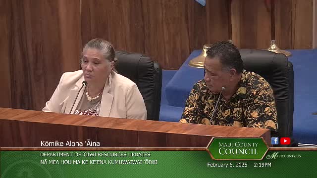 Maui archaeologists collaborate to support Lahaina's historic district rebuilding efforts