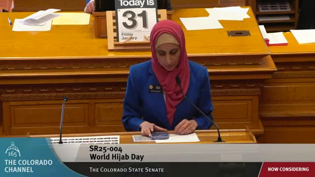 Senator Winter addresses mental health challenges and recovery in Senate session