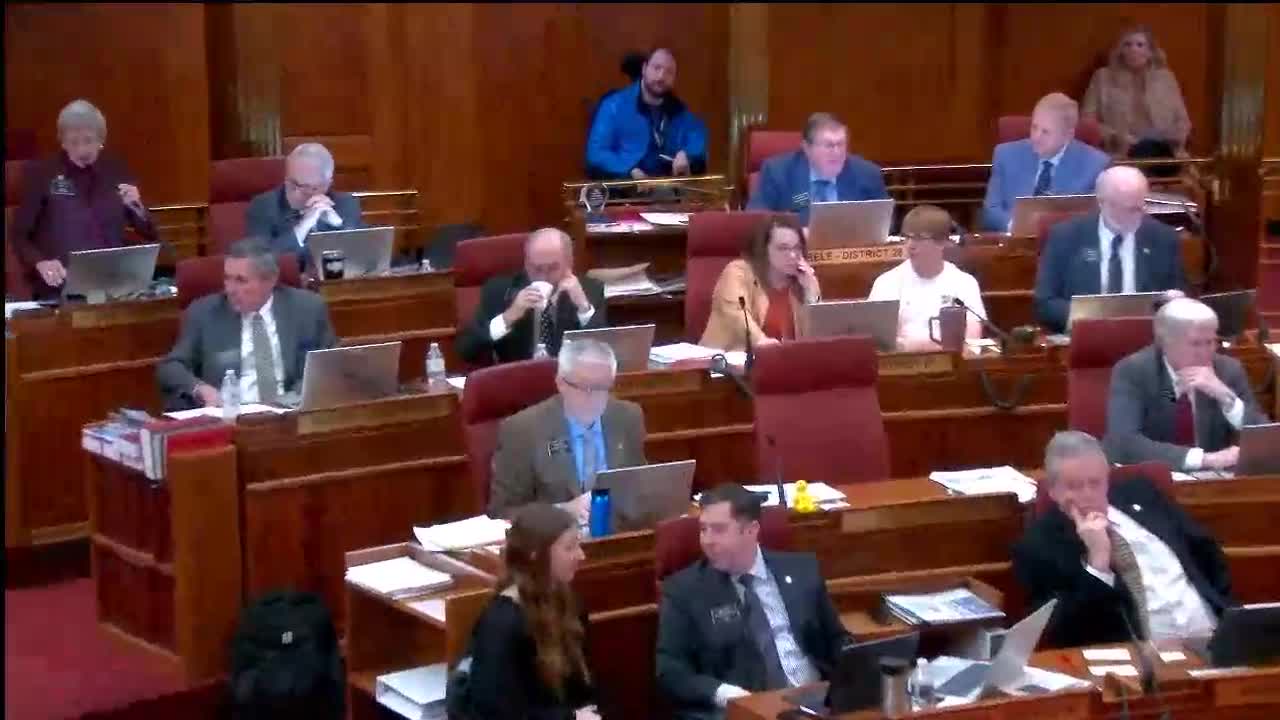 Senate approves amendments to Medicaid autism services and suicide hotline funding