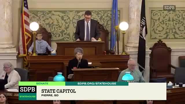 Senate adopts amendment expanding state auditor access and investigative role; SB60 passes