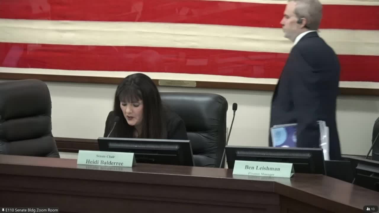 Appropriations subcommittee hears a string of education funding pitches: emergency ELL aid, school meals, telehealth and youth programs