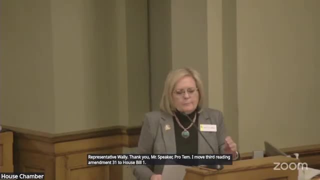 Wyoming House debates $5M grant for school resource officers amid safety concerns