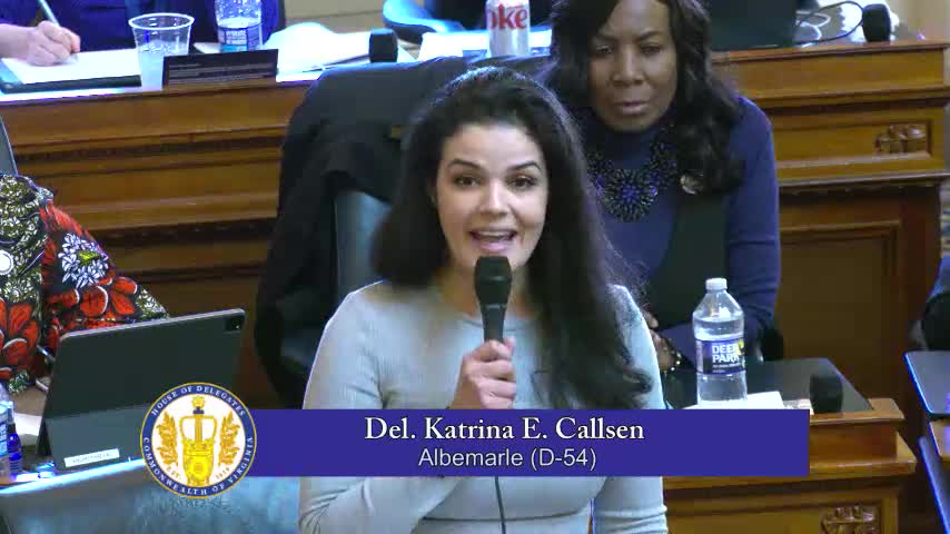 Delegate Hayes addresses racial bias in Virginia's criminal justice system