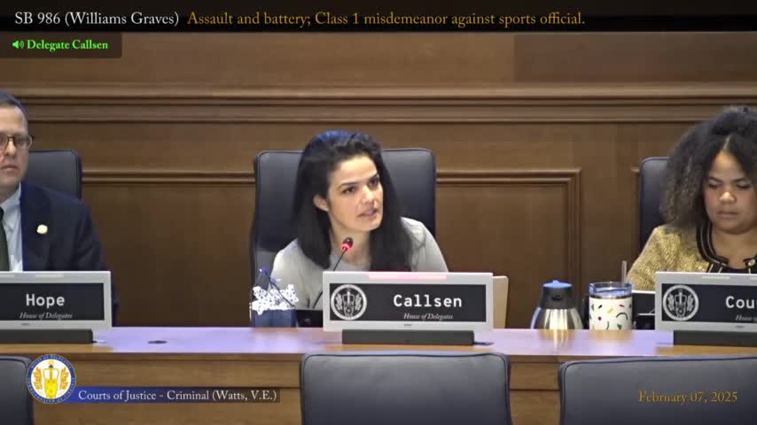 Delegate Colson discusses sports referee protection bill addressing parent misconduct