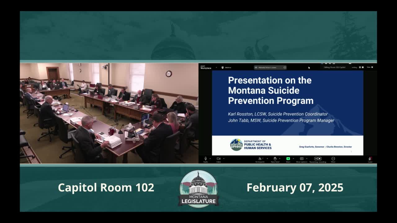 Montana officials outline suicide-prevention programs, funding and gaps as committee presses for details
