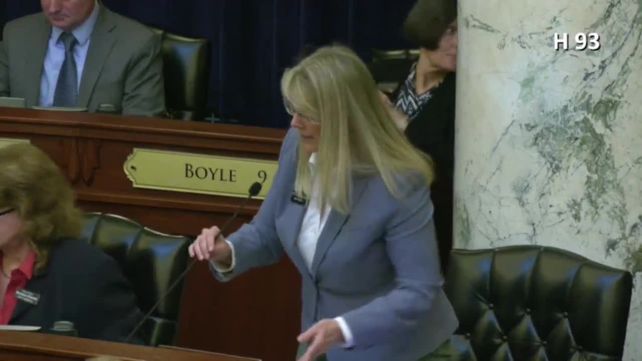 House passes Idaho Parental Choice Tax Credit, capping refundable credits at $50 million