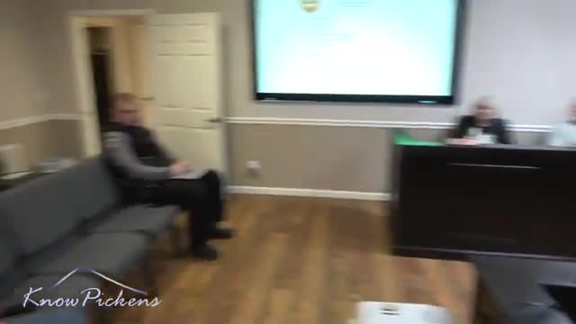 Resident asks council to explore sale of strip near Hollyhocks to enable business reuse