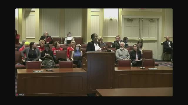 Senate panel hears clash over bill to bar firearm possession for assisted outpatient treatment respondents