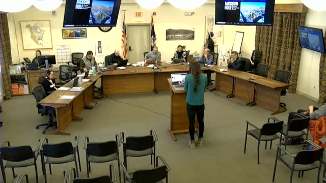 Travel and Tourism Board outlines plan for a DMMO and urges county adoption of Sustainable Destination Management Plan