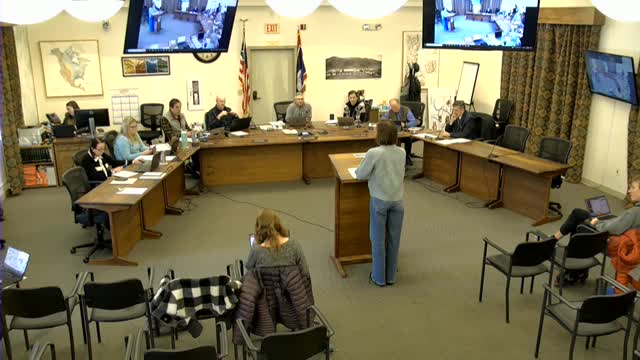 Amberlee Baker advocates for comprehensive review of Northern South Park master site plan