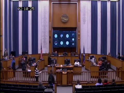 Richmond City Council implements Spanish interpretation for in-person and virtual meetings