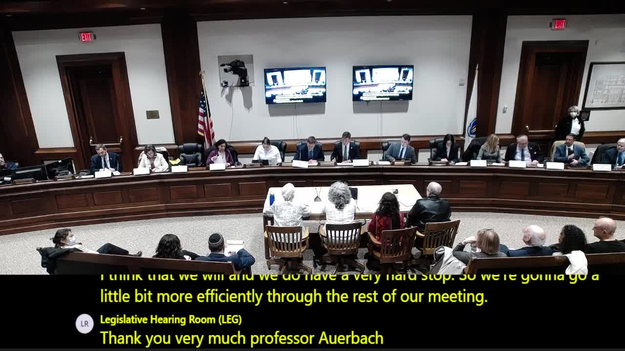 Boston's Jewish Voice for Peace challenges antisemitism and Zionism debate at commission hearing