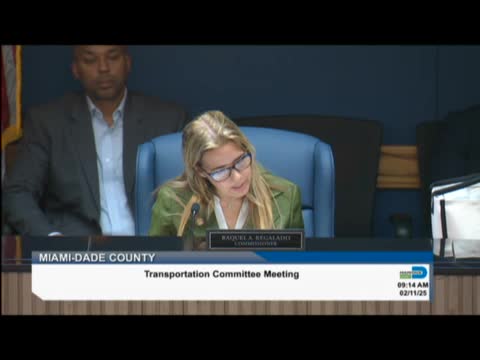 Commissioners approve 2025-2029 update of People's Transportation Plan in public hearing