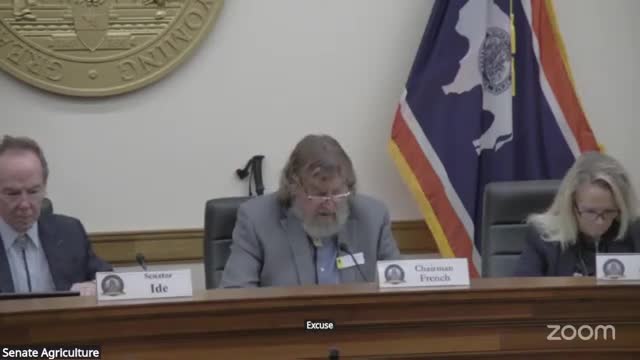 State committee reviews amendment blocking foreign adversaries from real estate ownership