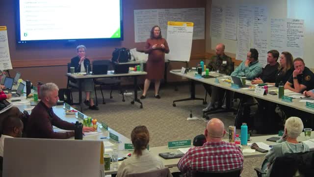 Council asks for expanded community engagement and language‑access outreach