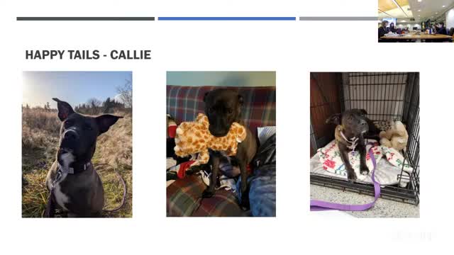 Thurston County animal rescue highlights positive outcomes for cruelty cases under new law