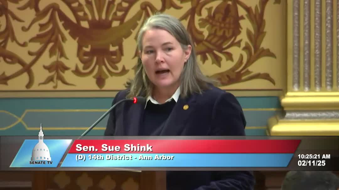 Michigan lawmaker proposes bill for legal representation for indigent youth